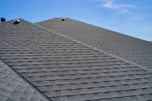 Best Roof Maintenance and Cleaning  in Henderson, NV